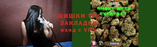 spice Новодвинск