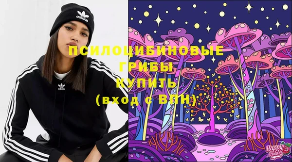 spice Новодвинск