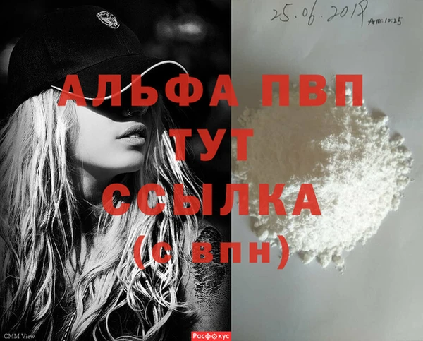 spice Новодвинск